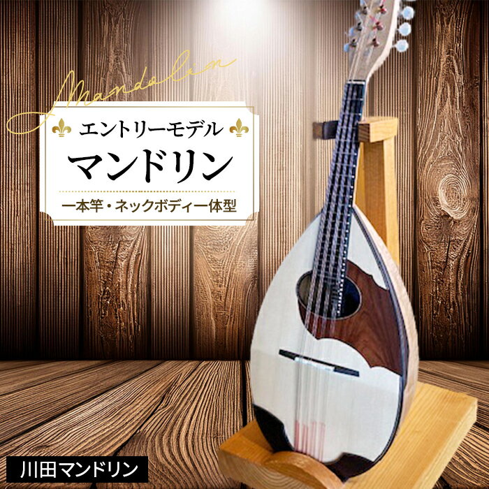 【ふるさと納税】【エントリーモデル】マンドリン [No.288] ／ 楽器 弦楽器 送料無料 岐阜県