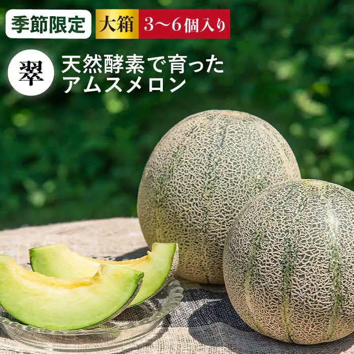 先行予約 メロン 大箱 3-6個 [JAZ005] アムスメロン