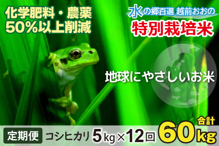 【令和7年産】【12ヶ月定期便】こしひかり 5kg × 12回 計60kg【白米】減農薬・減化学肥料 「特別栽培米」地球にやさしいお米[I-003001]