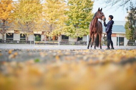 Canon 大口径・単焦点レンズ RF85mm F1.2 L USM DS