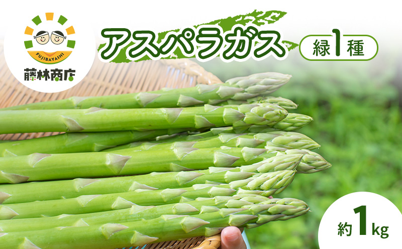 数量限定 グリーン アスパラガス 約1kg 北海道 富良野 新鮮 野菜