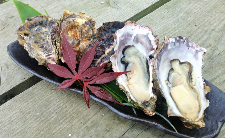 【能登半島地震復興支援】魚介類 牡蠣　/ 能登かき　殻付牡蠣 半缶/約5kg（約40～50個） 専用ナイフ 片手用軍手付 /世界農業遺産「能登の里山里海」｜石川県 七尾市 能登 ※要加熱 ※2025年