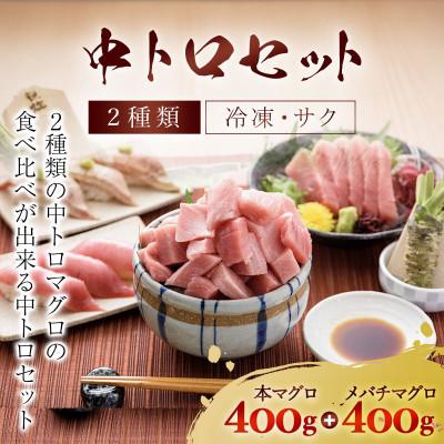 ふるさと納税 茂原市 豪華!中トロセット!マグロ 中トロセット (本マグロ400g+メバチマグロ400g)