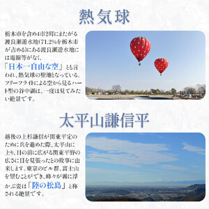 とちぎ和牛・前日光和牛（焼き肉用カルビ1kg）｜肉 お肉 和牛 最高級 A5ランク A5等級 焼肉