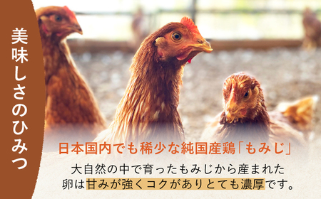 たまご 平飼いもみじたまご 40個 [OAC013]