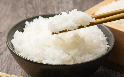 【2026年10月上旬発送開始予定】【4ヶ月定期便】らんこし米 ゆめぴりか約2kg