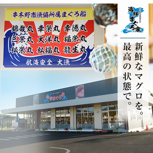 【令和6年お歳暮対応】ネギトロ用 マグロ の タタキ（ 約200g×3袋 計600g） 冷凍 いちき串木野市 小分け キハダマグロ・メバチマグロ 使用 マグロのたたき 自宅で ねぎとろ丼 鮪 ネギトロ