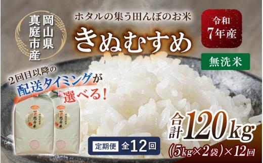 ＜定期便 全12回＞ 令和７年産 真庭市産きぬむすめ　無洗米 10kg (5kg×2袋) ×12回 / お米 国産 岡山県 米 人気 ブランド 2025年産 【tkns-tkb024-cho】