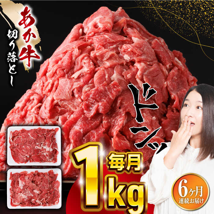 【ふるさと納税】【全6回定期便】熊本県産 あか牛 切り落とし 合計6kg (500g×2P) 熊本 赤牛 褐牛 あかうし 褐毛和種 肥後 冷凍 国産 牛肉 和牛 切り落とし こま切れ 小分け 【五右衛門フーズ】[YBZ007]