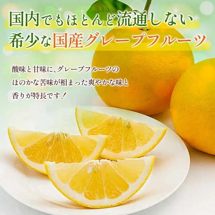 【ふるなび限定】★テレビで紹介された★ 先行予約 グレープフルーツ 月夜実 白 つくよみ 計4kg以上_BB122-23