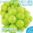 【ふるさと納税】2025年 先行予約受付中 シャインマスカット晴王1房 約700g 岡山県産 種無し 皮ごと食べる みずみずしい 甘い フレッシュ 瀬戸内 晴れの国 おかやま 果物大国 ハレノフルーツ　お届け：2025年9月1日～2025年10月31日