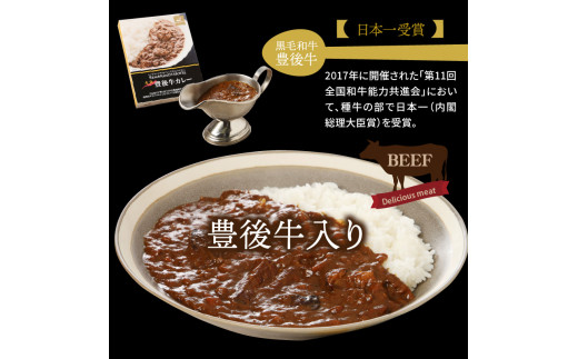  ワンランク上の味わいをご家庭で！豊後牛ホテルカレー_29174A_イメージ3