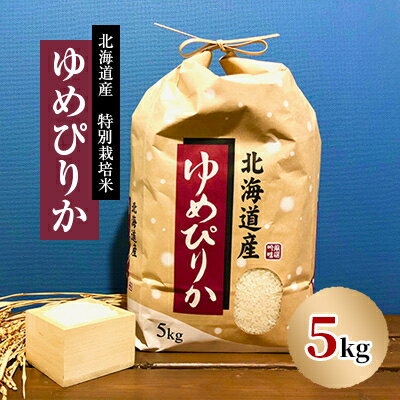 【ふるさと納税】【先行予約】特別栽培米 令和7年産北海道産ゆめぴりか 5kg精米【1530225】