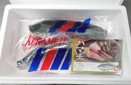 オリーブハマチ　冷凍　カマ・鱗付き半身２枚　約3kg（原体4.6kg）【B-55】