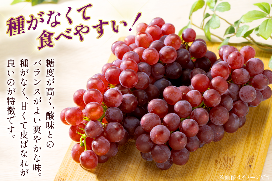【期間限定発送】 ぶどう デラウェア 秀品 30〜36房 約6kg [治右衛門果樹園 山形県 高畠町 tk06ays830019] 種無し ブドウ 葡萄 くだもの 果物 フルーツ 産地直送 農家直送 