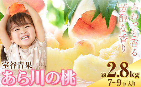 【予約受付】あら川の桃 約2.8kg 室谷青果 《2026年6月下旬-7月中旬頃出荷》 和歌山県 紀の川市