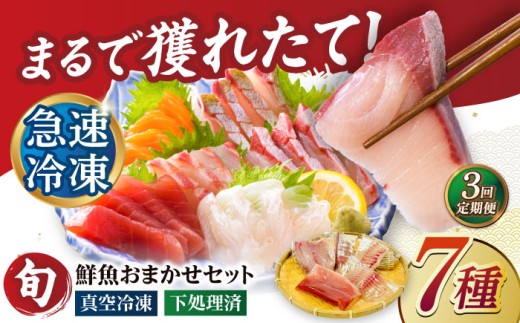 【3回定期便】超速冷凍鮮魚7種（5種+焼物用2種）五島市/金沢鮮魚[PEP069]刺身 さしみ 刺し身 刺身セット 刺身 刺身丼 海鮮丼 セット 冷凍 海鮮  海鮮丼の具 盛り合わせセット 小分け 海鮮 魚介人気  セット 魚介類 海鮮 人気 柵 真空パック 新鮮 下処理済み