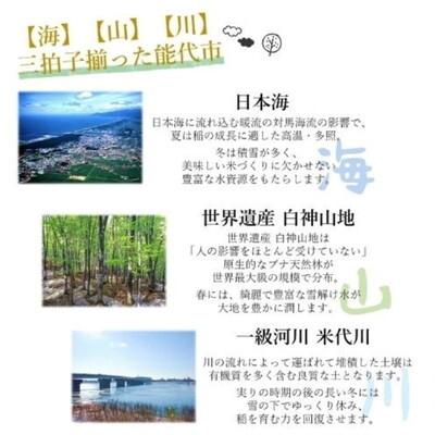ふるさと納税 能代市 【先行受付】令和7年産 ひとめぼれ 精米 5kg[No.5335-0724] |  | 03