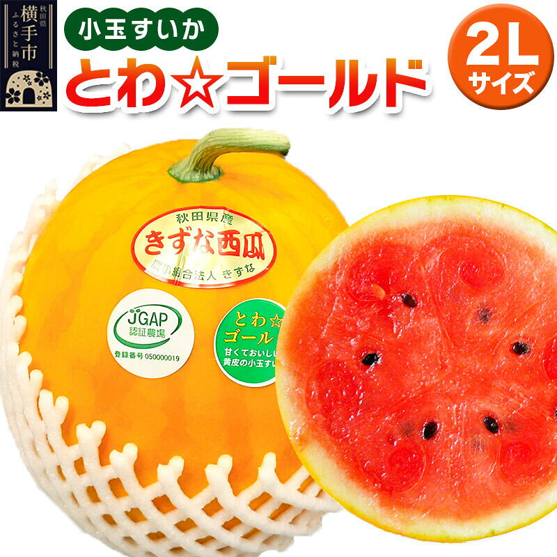 【ふるさと納税】小玉すいか（とわ☆ゴールド）2Lサイズ1個入 すいか [農事組合法人きずな 小玉すいか]