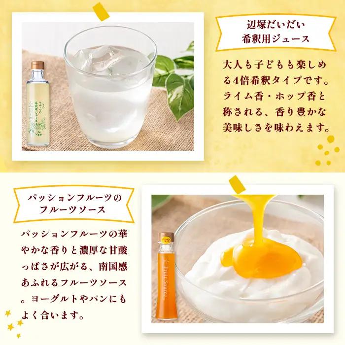 【A83014】フルーツ味わいセット(4種) 鹿児島 国産 フルーツ ソース 果物 果汁 ジュース ドリンク 甘夏 柑橘 みかん パッションフルーツ 辺塚だいだい シロップ ヨーグルト デザート 【農