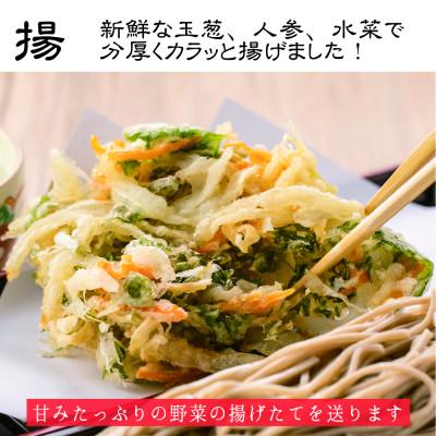 ふるさと納税 大洗町 かき揚げ蕎麦(常陸秋そば)2人前/生蕎麦(300g)・蕎麦つゆ