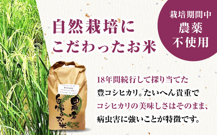 栽培期間中農薬不使用 令和5年産 豊コシヒカリ 玄米 5kg 武雄市/鶴ノ原北川農園 [UDL015]