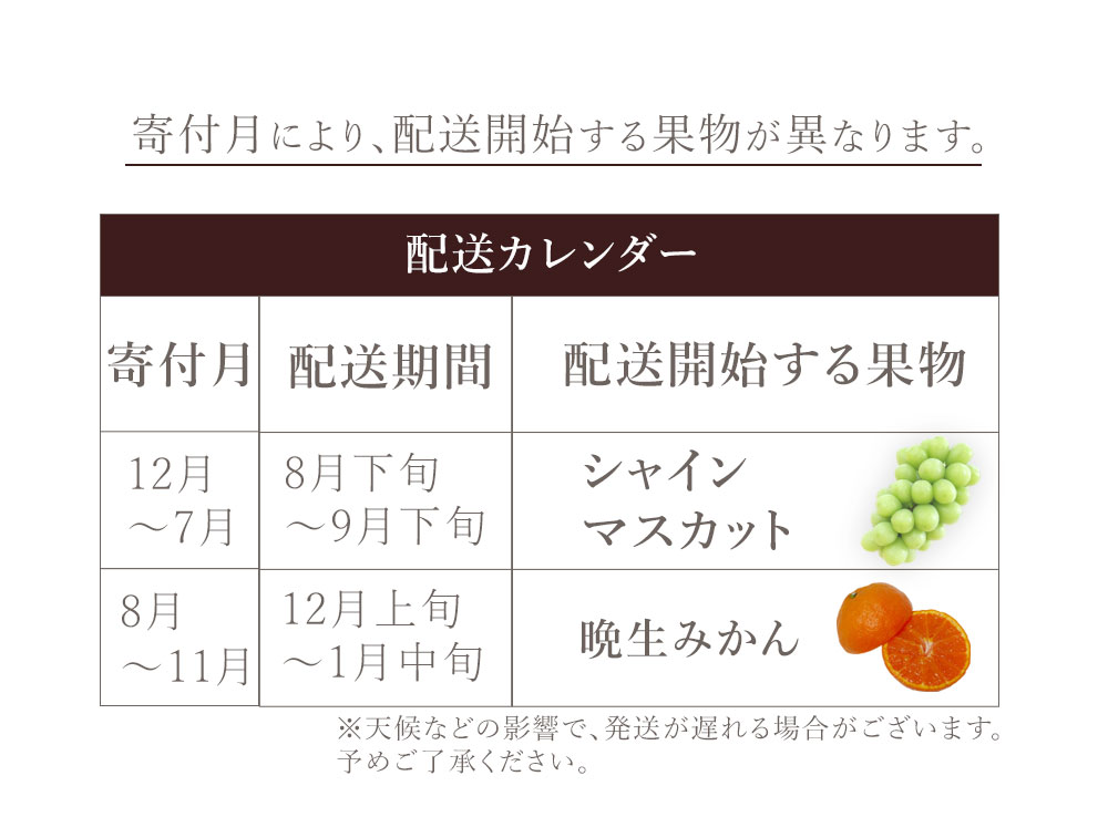 M160-0030_フルーツ定期便 2回 晩生みかん 7kg 特大 シャインマスカット 800g