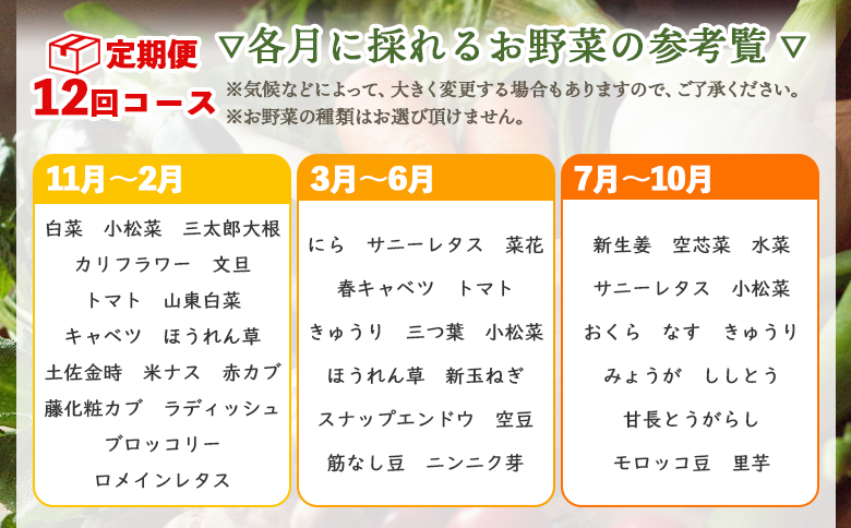 野菜(10～13品目) 12回定期便