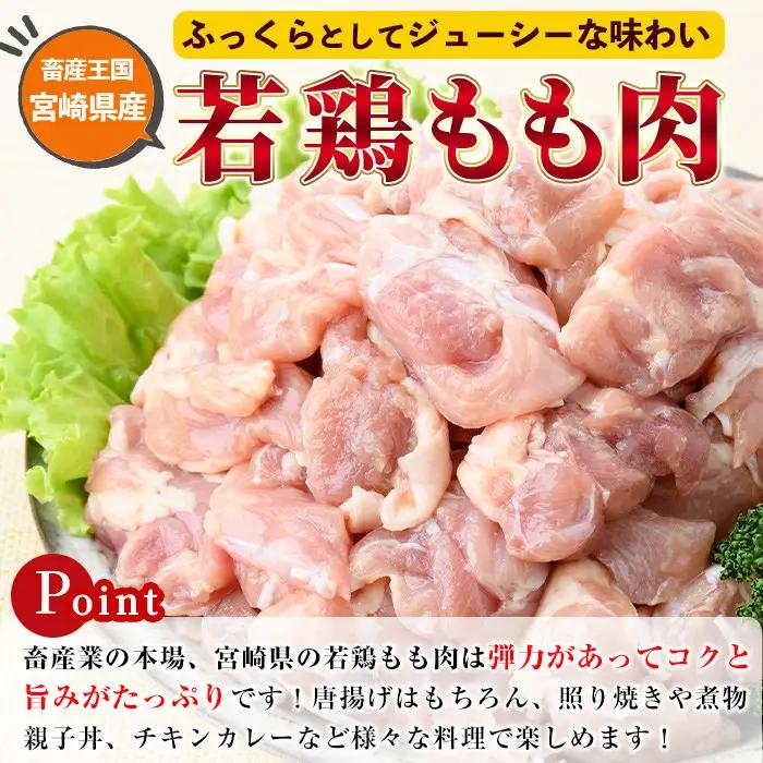 鶏肉 もも肉 小分け(計1.7kg・340g×5P) お肉 国産 冷凍【NK-04-G】【南九フーズ】