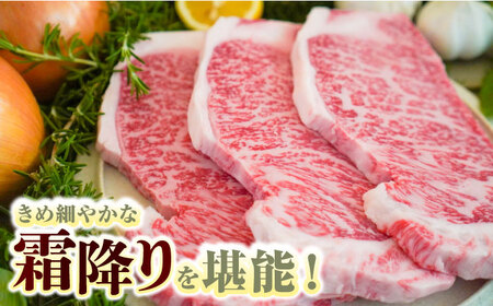 【全3回定期便】佐賀牛 至福の切り落としとサーロインステーキ食べ比べ 計2.1kg [41ASAA233]
