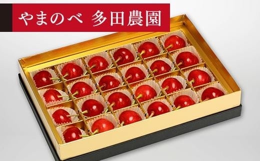 
            ＜先行予約＞【珠玉の佐藤錦】みやび箱 24粒【やまのべ多田耕太郎のさくらんぼ 多田農園】
          