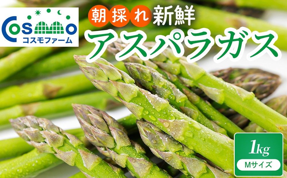 
                  朝採り新鮮アスパラガス 1kg【Mサイズ】 | 野菜 アスパラガス グリーンアスパラ 旬 とれたて  春野菜 春 朝採り 朝採れ とれたて 新鮮 みずみずしい サラダ 甘い お取り寄せ 産地直送 冷蔵 岐阜県 瑞穂市
                