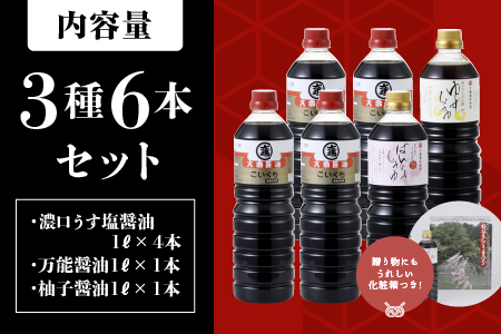 醤油 3種(濃口うす塩醤油×4L・万能醤油×1L・柚子醤油×1L)6本セット×1L(計6L)【醤油 しょうゆ しょう油 濃口うす塩醤油 万能醤油 柚子醤油 ポン酢 ゆずポン酢 だし入り 濃口 万能 柚