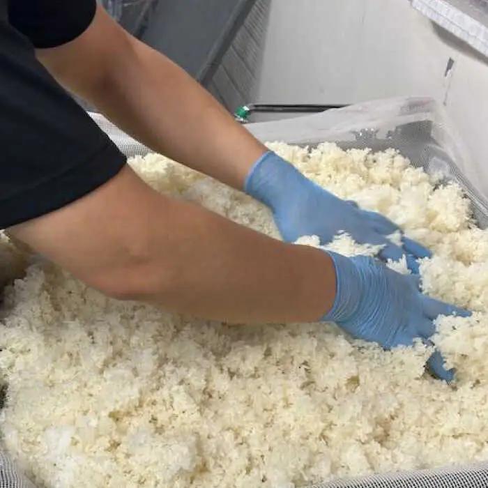甘酒 米麹の甘酒550g×15本 島根県松江市/合同会社スギナリ醸造所[ALGY001] 甘酒 甘酒