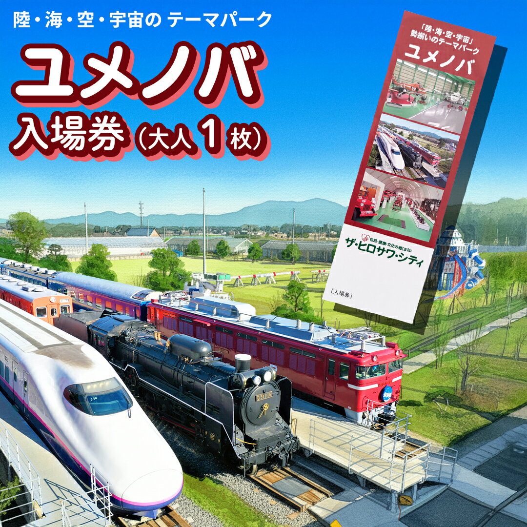【ふるさと納税】陸・海・空・宇宙の テーマパーク ユメノバ 入場券 （大人1枚） ザ・ヒロサワ・シティ チケット レジャー ヒロサワシティ お出かけ 夏休み 冬休み [DP009ci]