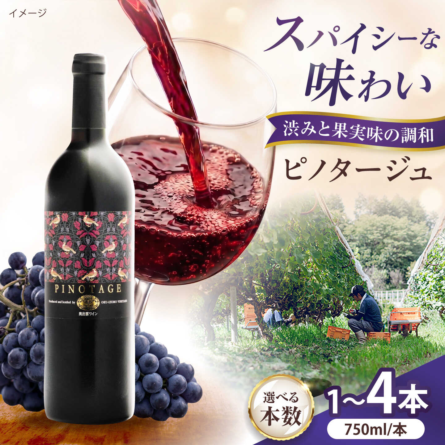 【ふるさと納税】【選べる本数】ピノタージュ 750ml 赤ワイン 国産 島根県雲南市/有限会社奥出雲葡萄園[AICS104]