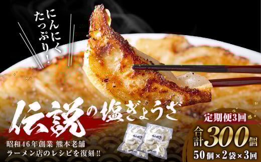 【年3回定期便】にんにくたっぷり 伝説の塩ぎょうざ 100個×3回 合計300個 餃子 ぎょうざ 惣菜 お惣菜 中華