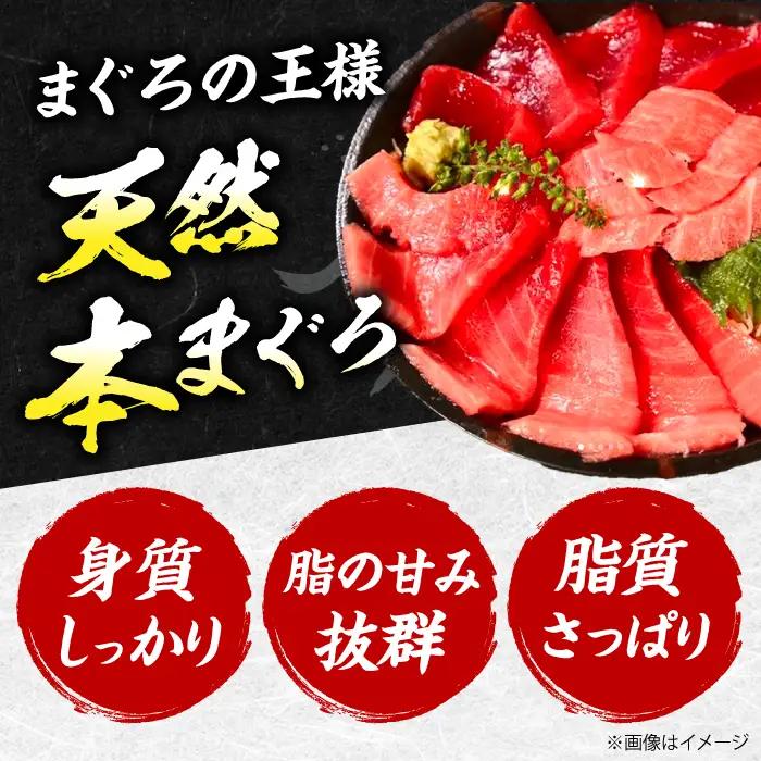 たね熟天然本まぐろ大トロ(320g) [AOCE003] 鮪