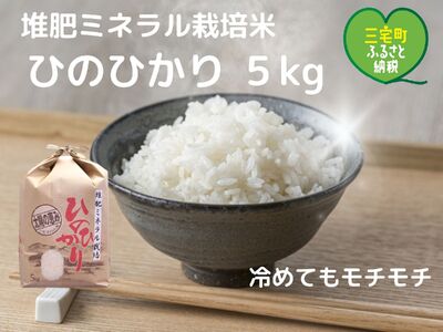 【令和６年産】ひのひかり 白米 5kg 奈良県 三宅町 ヒノヒカリ 堆肥 ミネラル栽培 志埜米穀店