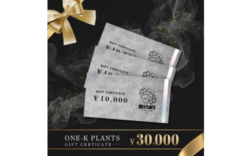 ONE-K PLANTS - ギフト券 - 30,000円【1602891】