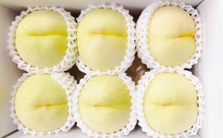 【先行予約】岡山白桃 約1.5kg（6玉前後）【2026年7月上旬～7月下旬迄順次発送予定】【もも 桃 清水白桃 白桃 果物 フルーツ 国産 人気 おすすめ 岡山県 倉敷市】