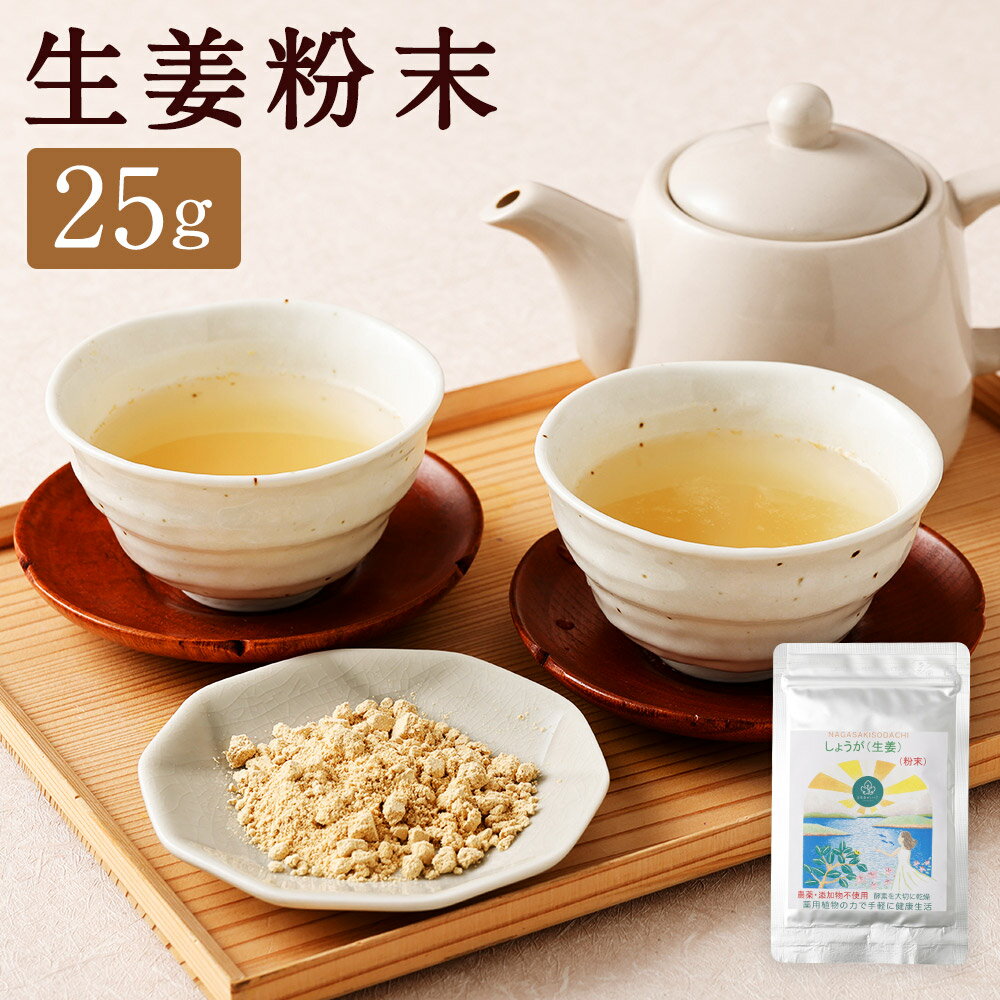 【ふるさと納税】【14営業日以内発送】生姜粉末 25g アルミ袋入り ショウガ しょうが 健康食品 美容 調味料 長崎県産 国産 九州 長崎県 長崎市 送料無料