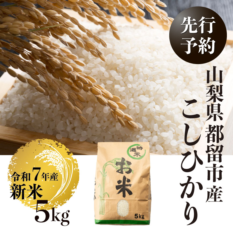 【令和７年産新米・予約】山梨県都留市産こしひかり[5kg]　お米 コメ 米 コシヒカリ 先行予約 新米 令和７年度産
