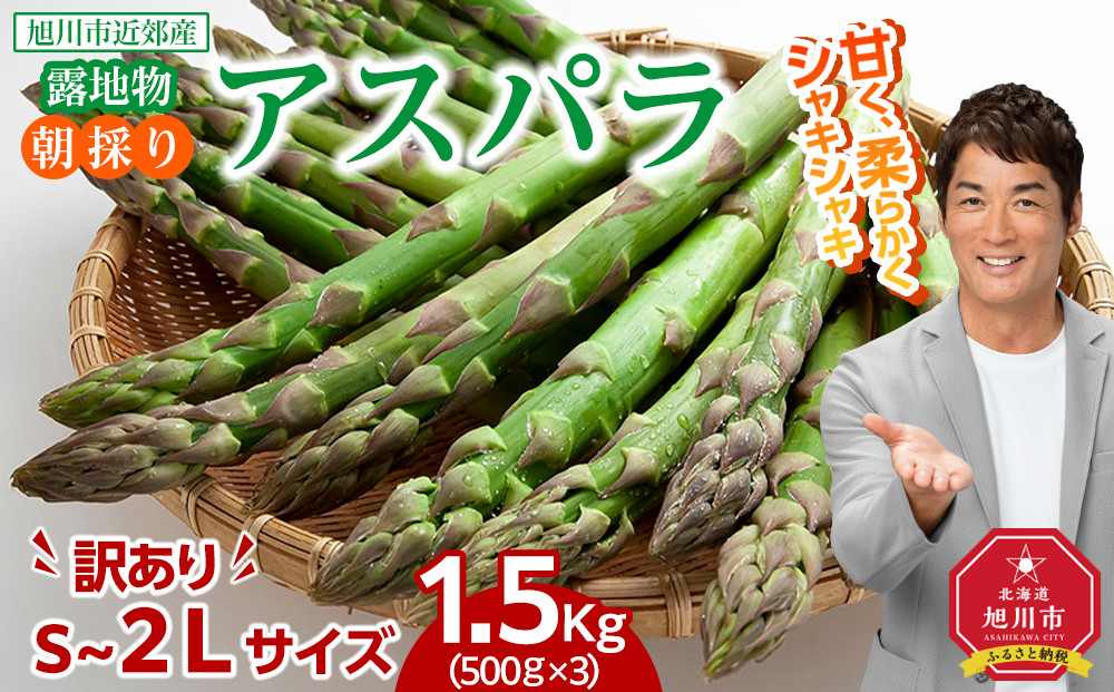 ◆2026年先行予約◆【訳あり】露地物朝採りアスパラ 1.5kg（500g×3）鮮度保持フィルム入り(5月中旬発送開始予定) 【 アスパラ アスパラガス 朝採り とれたて 野菜 旬 小分け 保存 産直