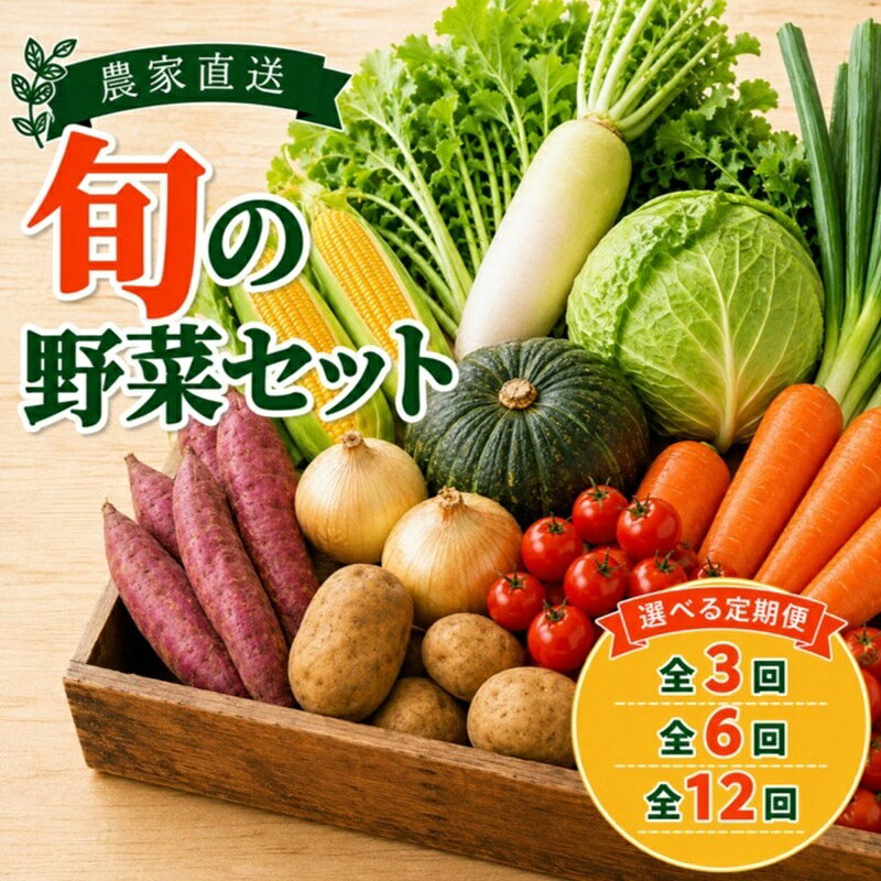 【ふるさと納税】 野菜 定期便 野菜セット 旬 詰め合わせ やさい 【 選べる 発送 回数 全3回 全6回 全12回 】 先行予約 おまかせ 新鮮 新鮮野菜 農家直送 yasai 春野菜 夏野菜 秋野菜 冬野菜 旬 ふるさと納税 千葉県 銚子市 送料無料 サンズファーム 【2026年11月以降発送】