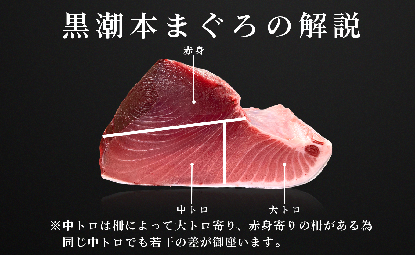 【高知県産 養殖本マグロ】中トロ150g 黒潮本まぐろ｜刺身用 最優秀賞受賞 日本一 本まぐろ クロマグロ まぐろ 鮪 トロ 小分け 個包装 丼 寿司 柵 急速冷凍 解凍簡単 贈答 ギフト お祝い 父
