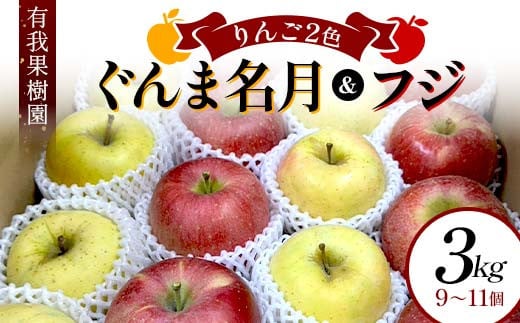 りんご 2色 リンゴ ぐんま名月 フジ 3kg 9～11個 御歳暮 ＜有我果樹園＞ りんご リンゴ 林檎 デザート フルーツ 果物 くだもの F7X-0284