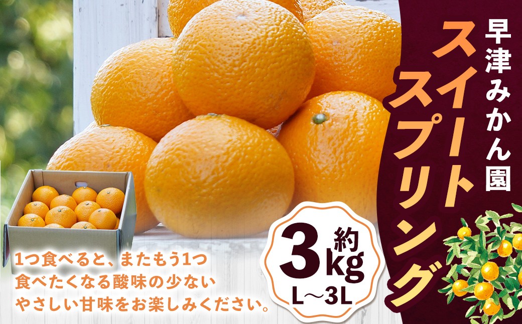 
                  早津みかん園のスイートスプリング 3kg 【2027年2月上旬～3月上旬発送予定】 スイートスプリング みかん ミカン 柑橘 柑橘系 柑橘類 くだもの 果物 フルーツ 国産 佐賀県産 太良町産 佐賀県 太良町 常温 L27x1
                