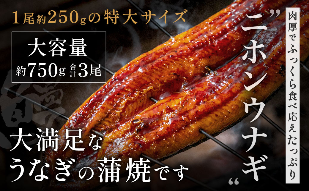 AE202.うなぎ蒲焼き3尾セット（約250g×3尾）