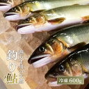 【ふるさと納税】 四万十川上流 の 天然鮎 釣り鮎 600g ( 冷凍 4～12尾 ) 鮎 あゆ アユ 川魚 高知県 四万十 天然 冷凍